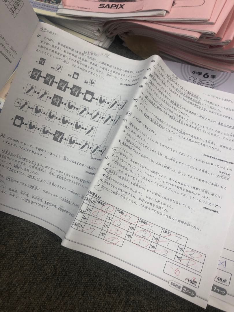 サピックス6年社会 デイリー春/夏/土特/日特/GS/夏集中　2025年受験