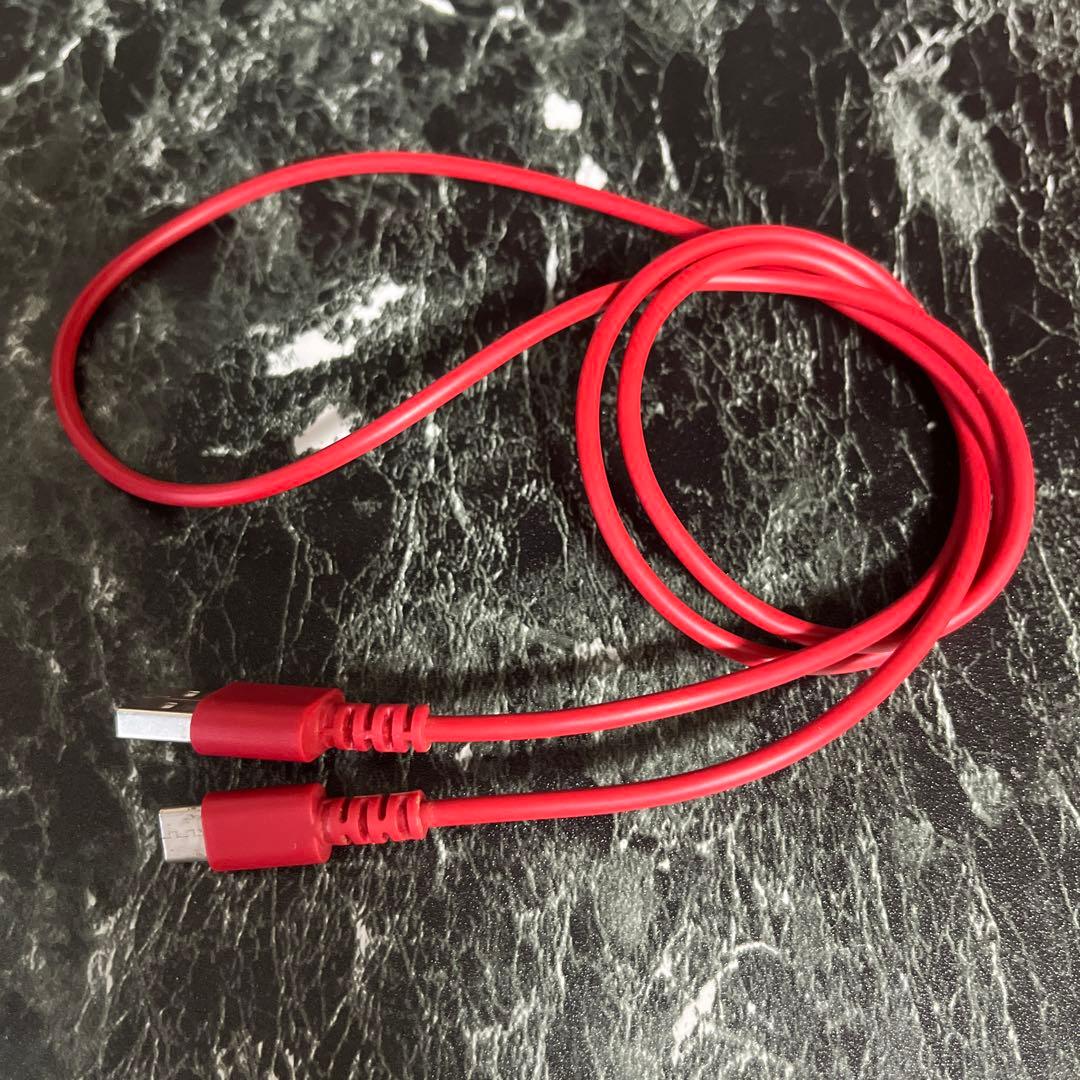 Switchライト　箱あり　充電コード付き　中古品