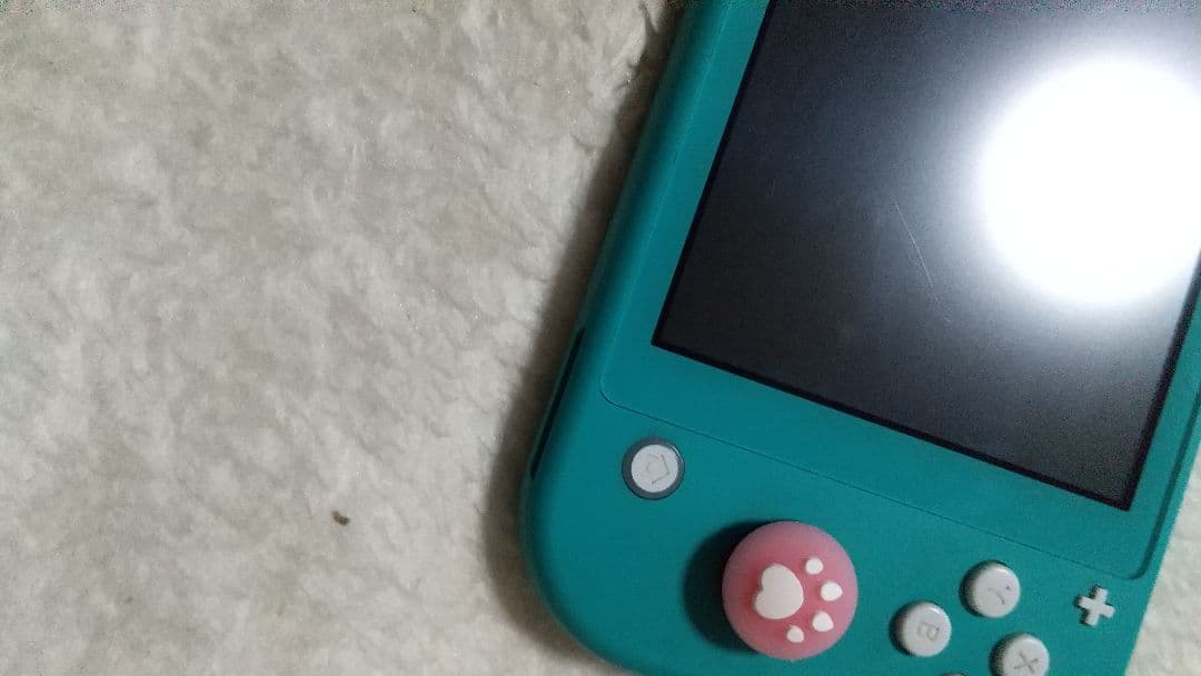 Nintendo Switch Liteターコイズ本体動作品肉球カバーアダプター