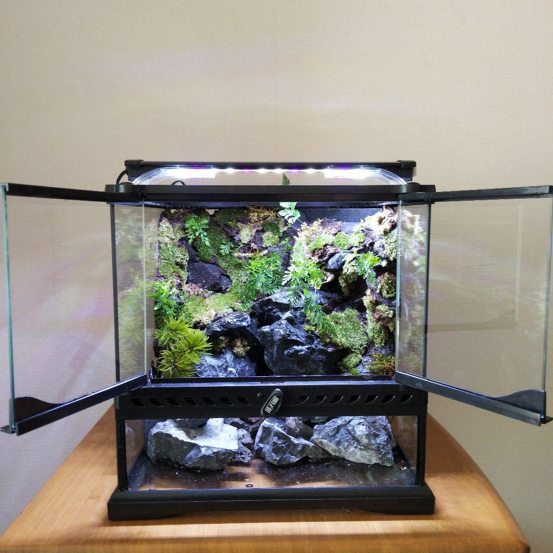 【受注生産】グラステラリウム3030　イモリウム　苔テラリウム　アクアテラリウム