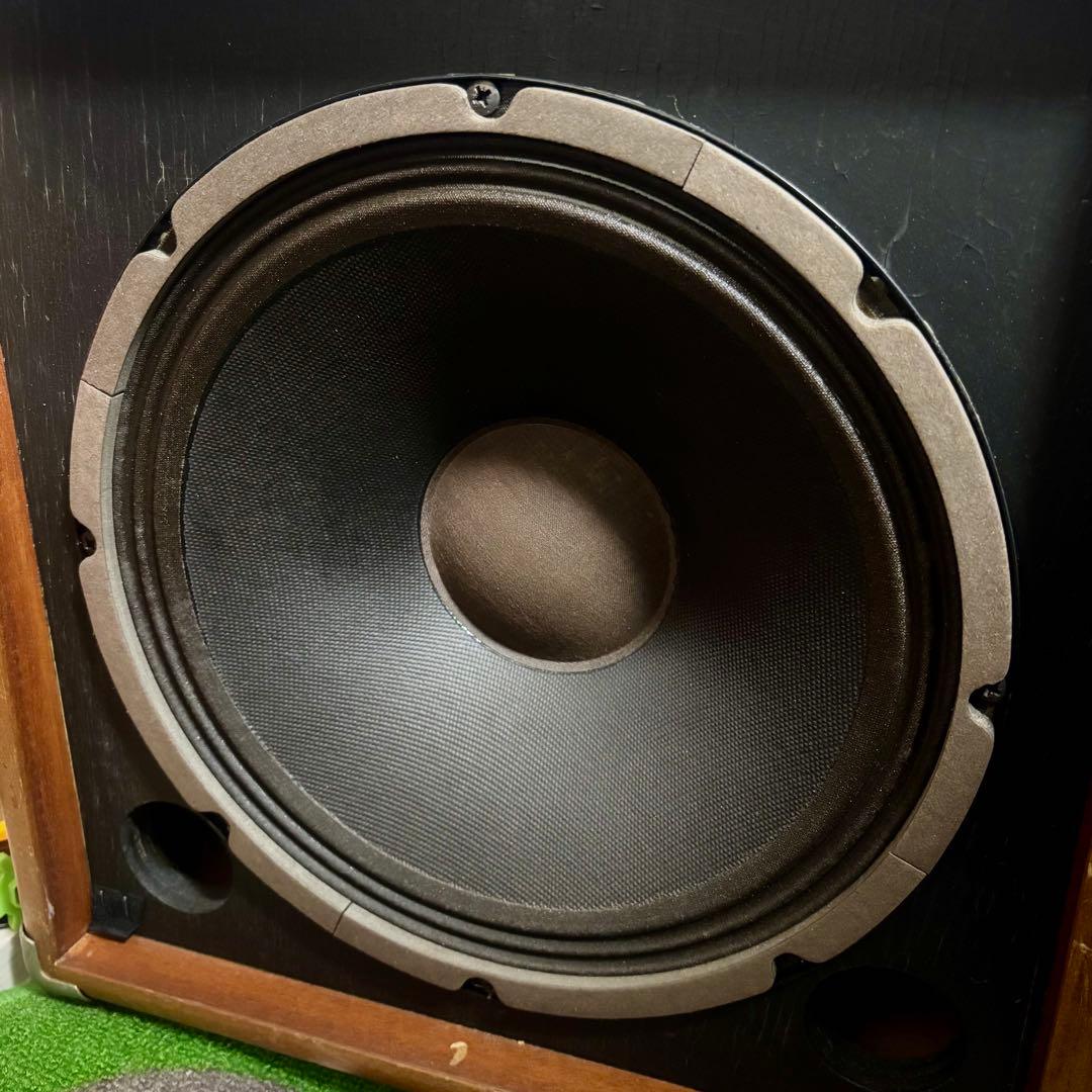 PETERSON Bass Ace 100 MKII ピーターソン ベースアンプ