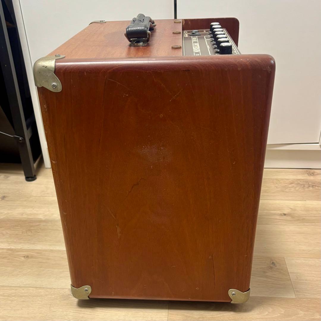 PETERSON Bass Ace 100 MKII ピーターソン ベースアンプ