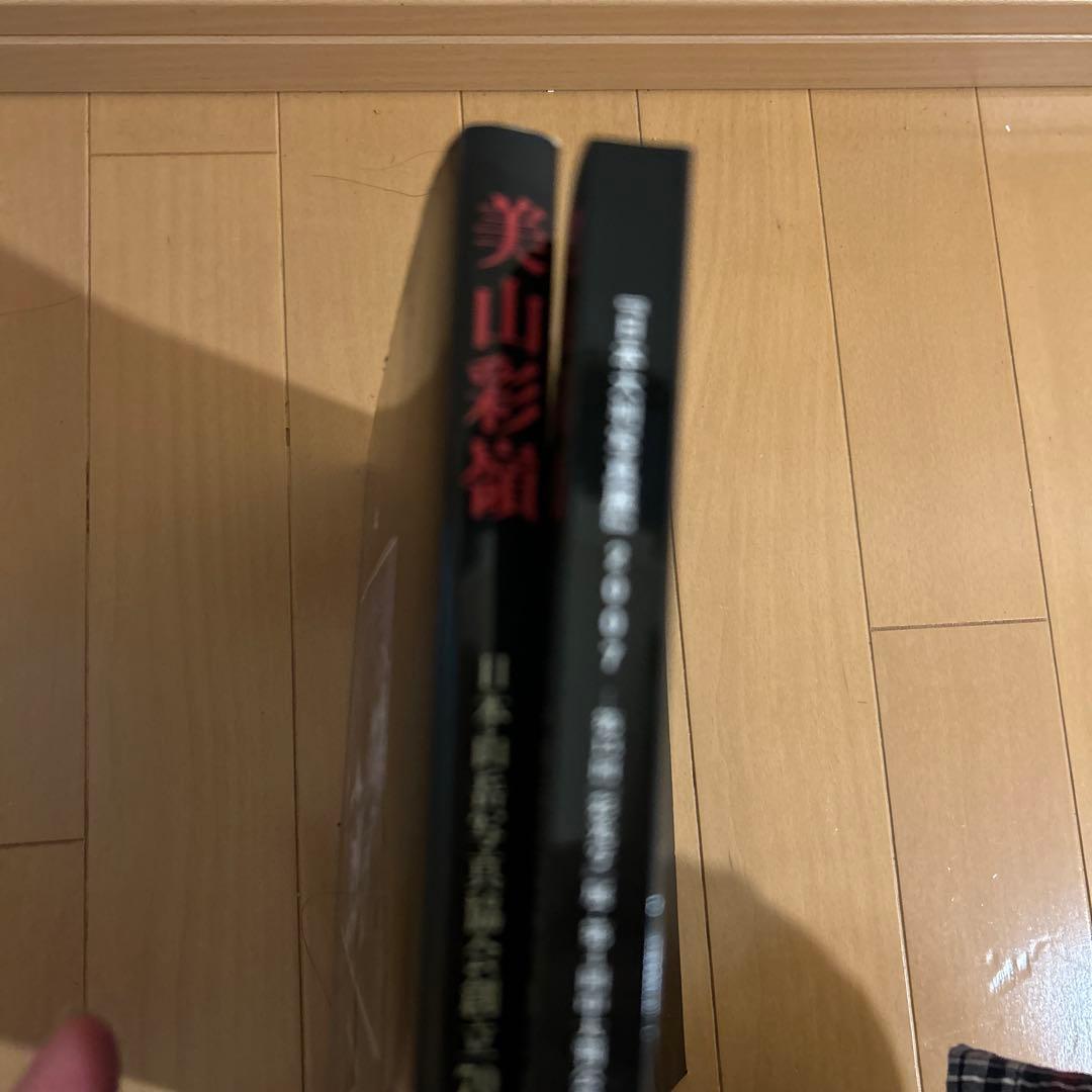 美山彩額 日本大判写真展 2007