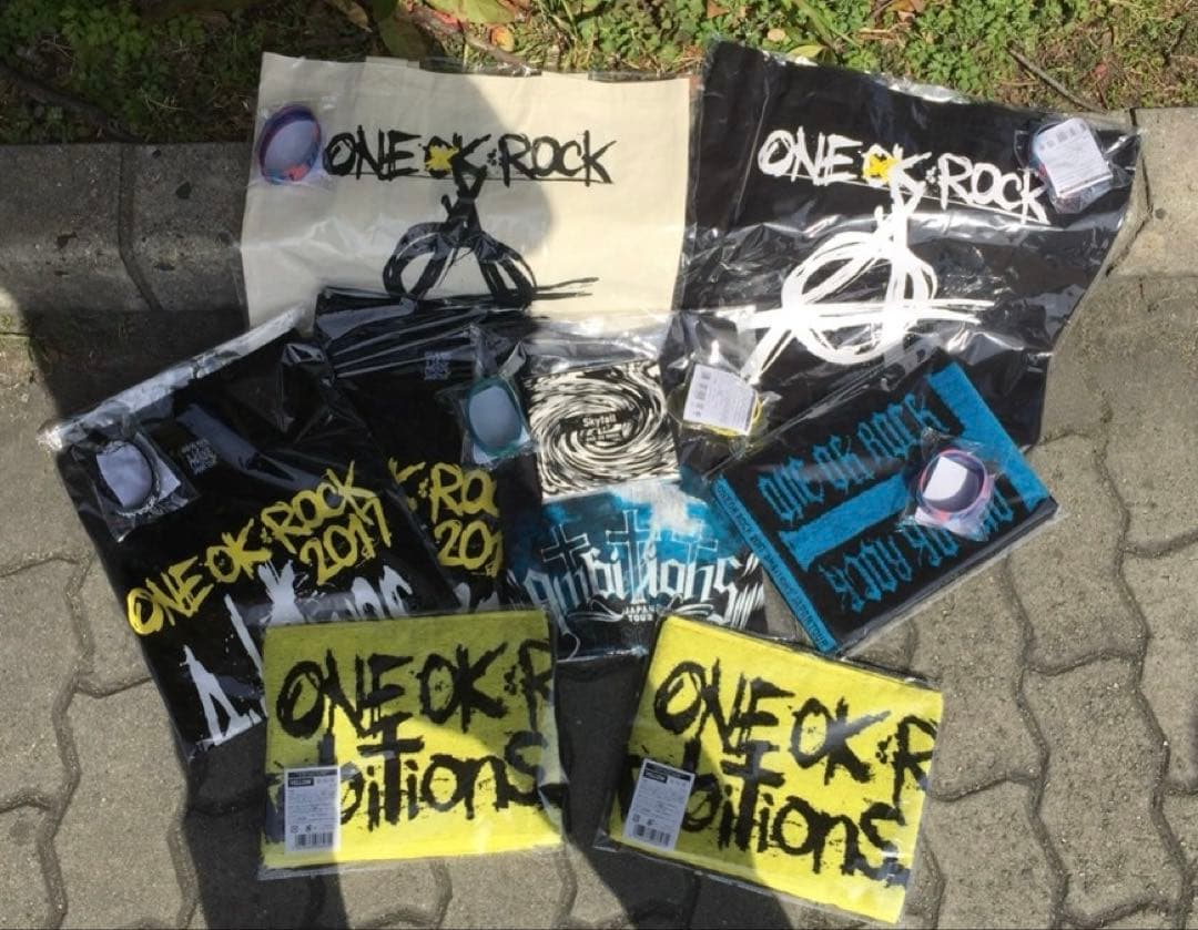 【正規盤・美品】Skyfall ONE OK ROCK ワンオク