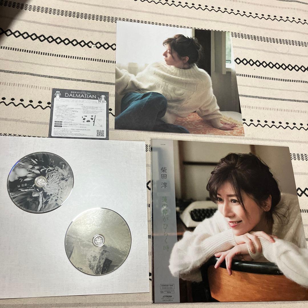 柴田淳　アニバーサリーCD セット　おまけ付き