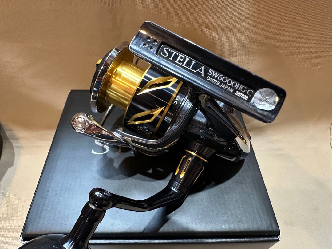 リール SHIMANO 20 STELLA SW 6000HG