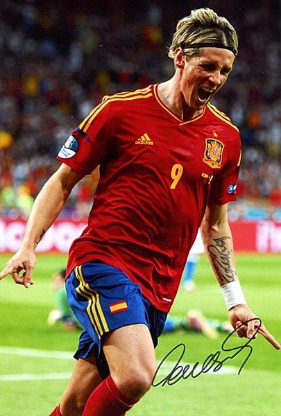 フェルナンド   トーレス    スペイン代表    直筆サイン入りフォト