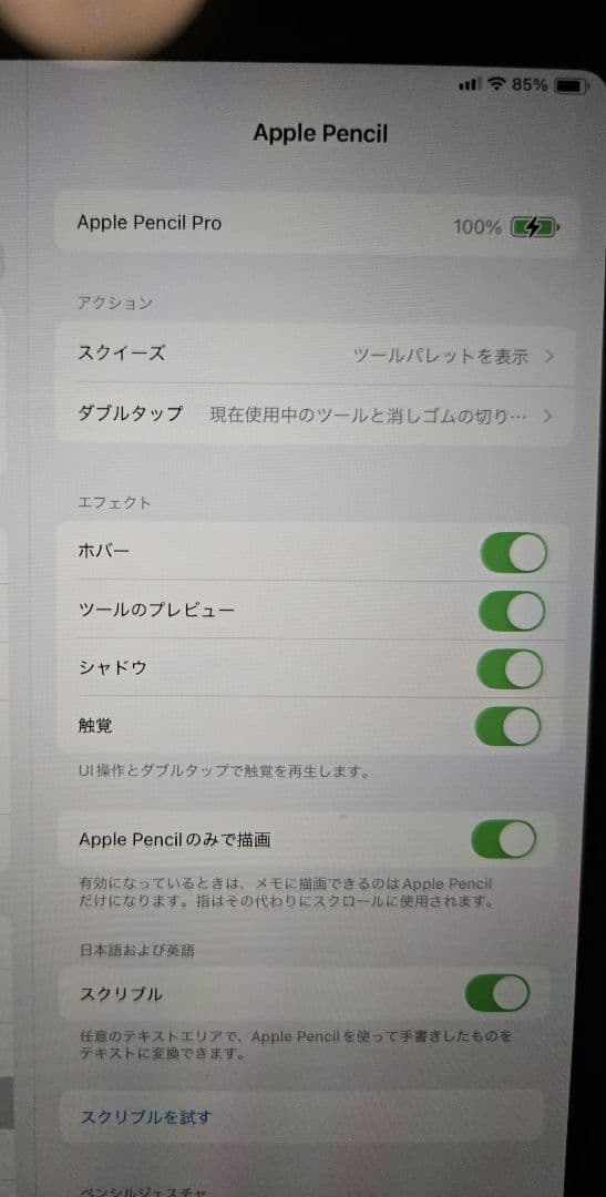 【即日配送】Apple Pencil Pro ホワイト 純正品