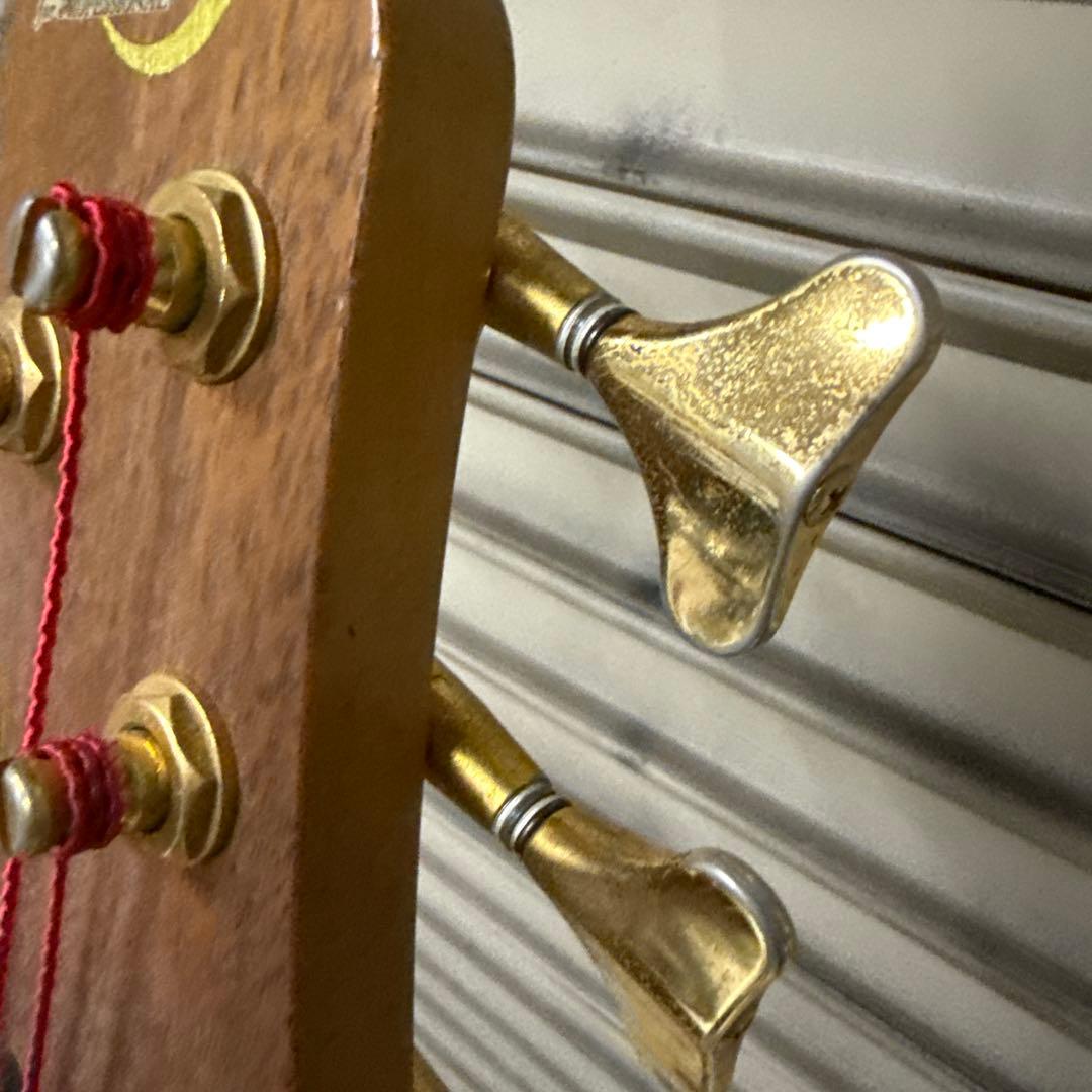 ストリート Moon mbc-6 フレットレス 6弦 エレキベース