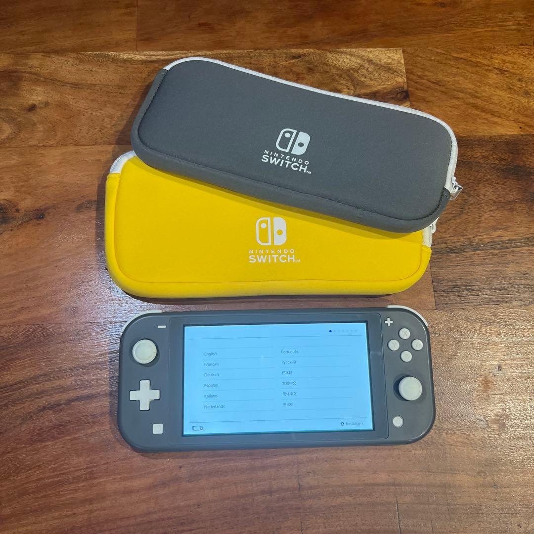 Switch Lite グレー 本体 (訳ありジャンク品)専用ケース付き