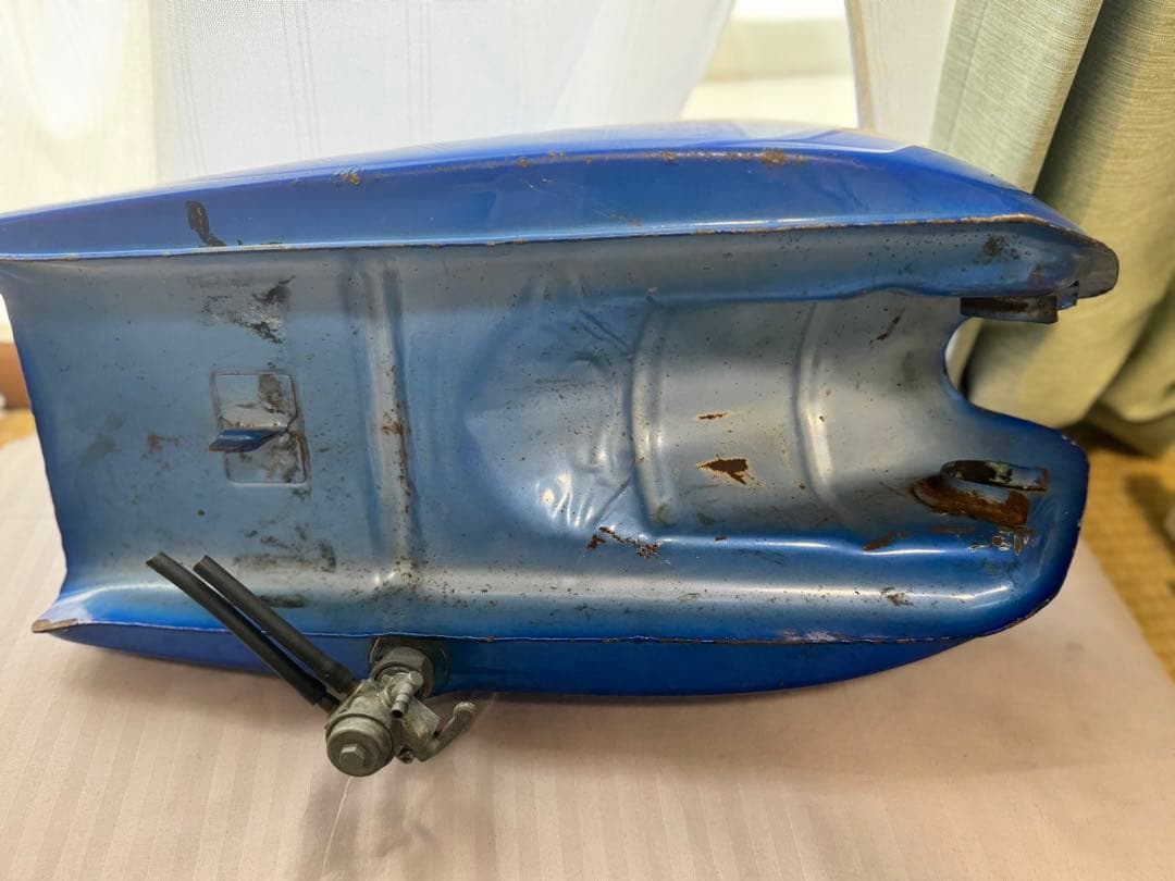 シーザーくん　…