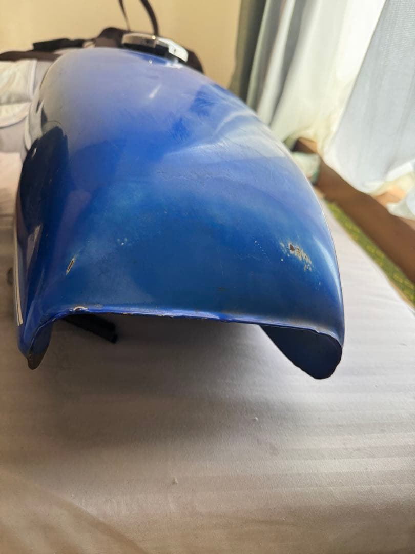 シーザーくん　…