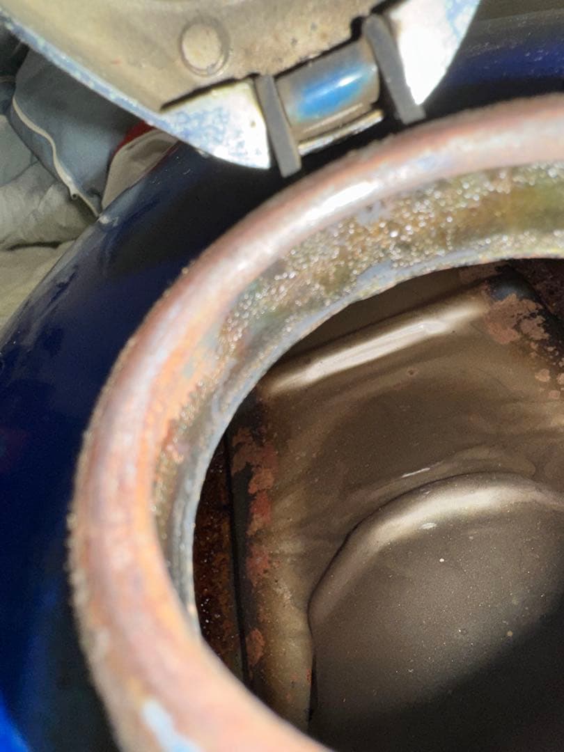 シーザーくん　…