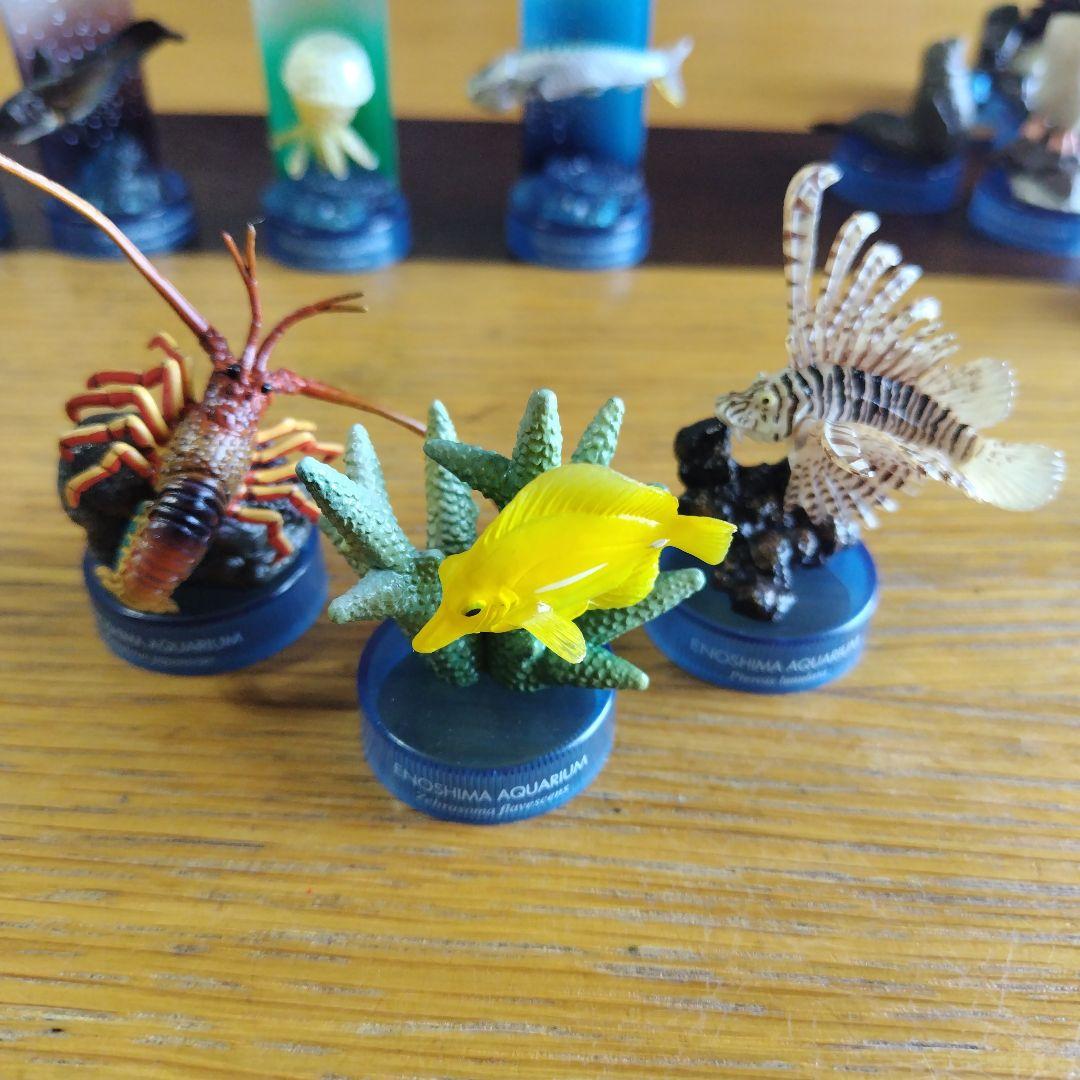 土日値下げ江の島水族館 海洋生物1、 2全フィギュア29種フルコンプセット