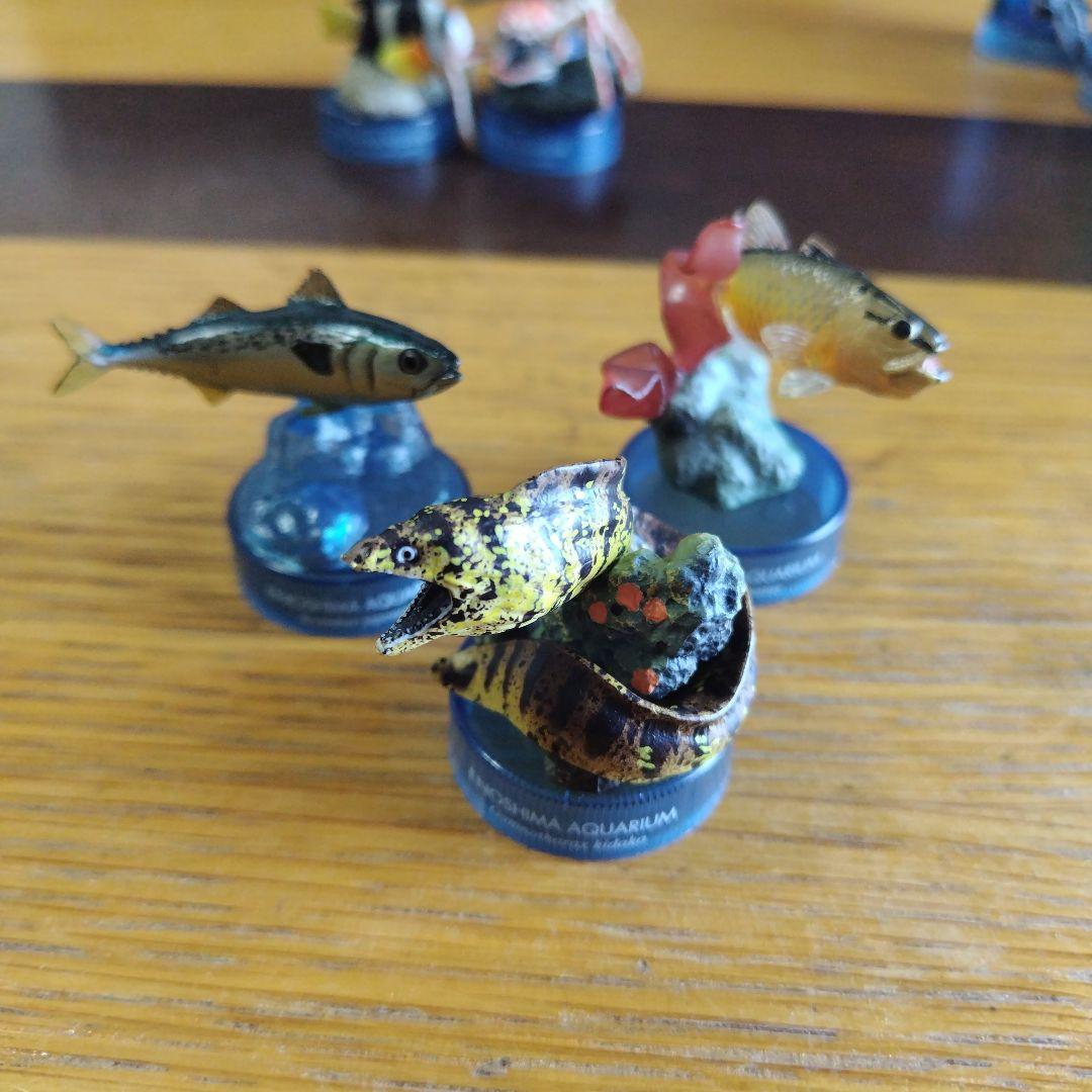 土日値下げ江の島水族館 海洋生物1、 2全フィギュア29種フルコンプセット