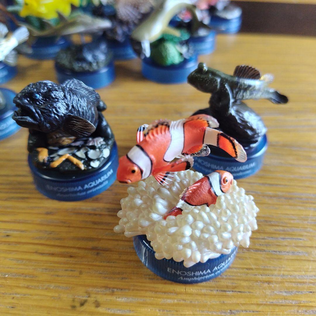 土日値下げ江の島水族館 海洋生物1、 2全フィギュア29種フルコンプセット