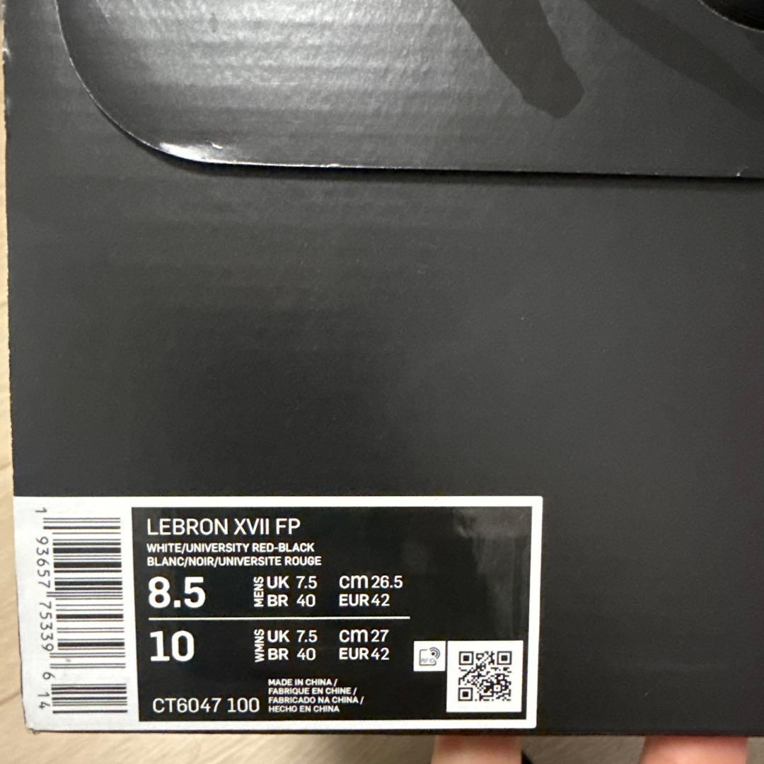 LeBron XVII バスケットボールシューズ