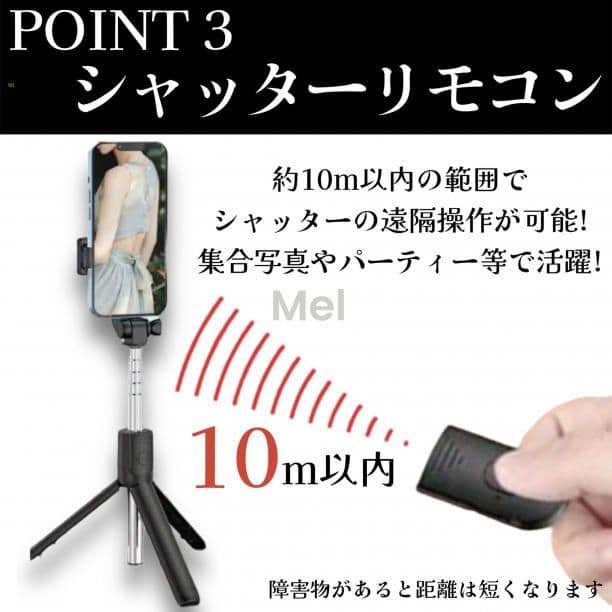 yuukiさん専用30個