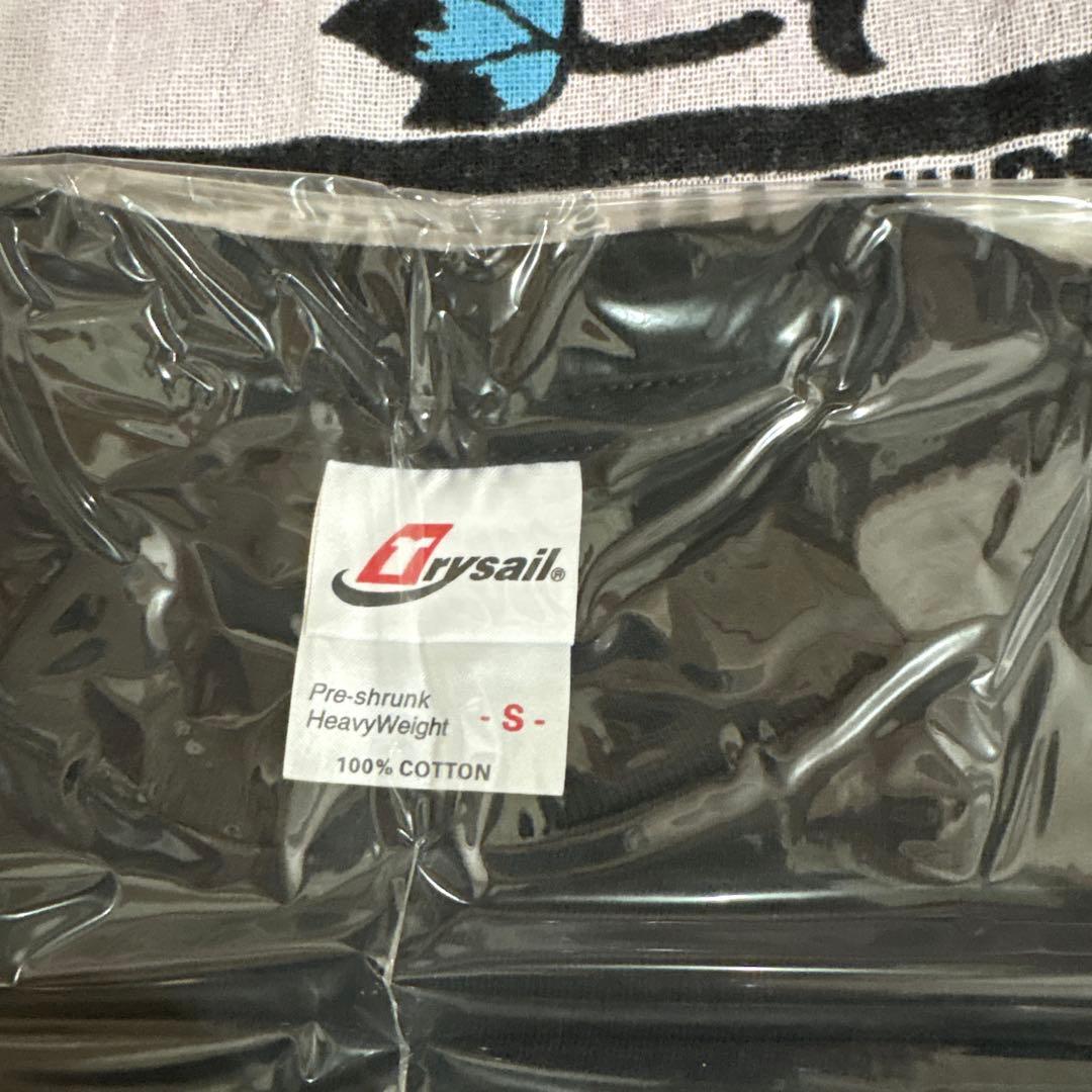 アイデン&ティティ2000限定版セット　銀杏BOYZ GOING STEADY