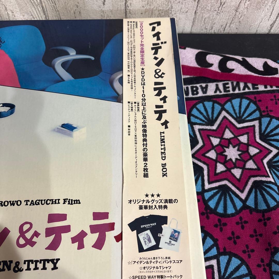 アイデン&ティティ2000限定版セット　銀杏BOYZ GOING STEADY