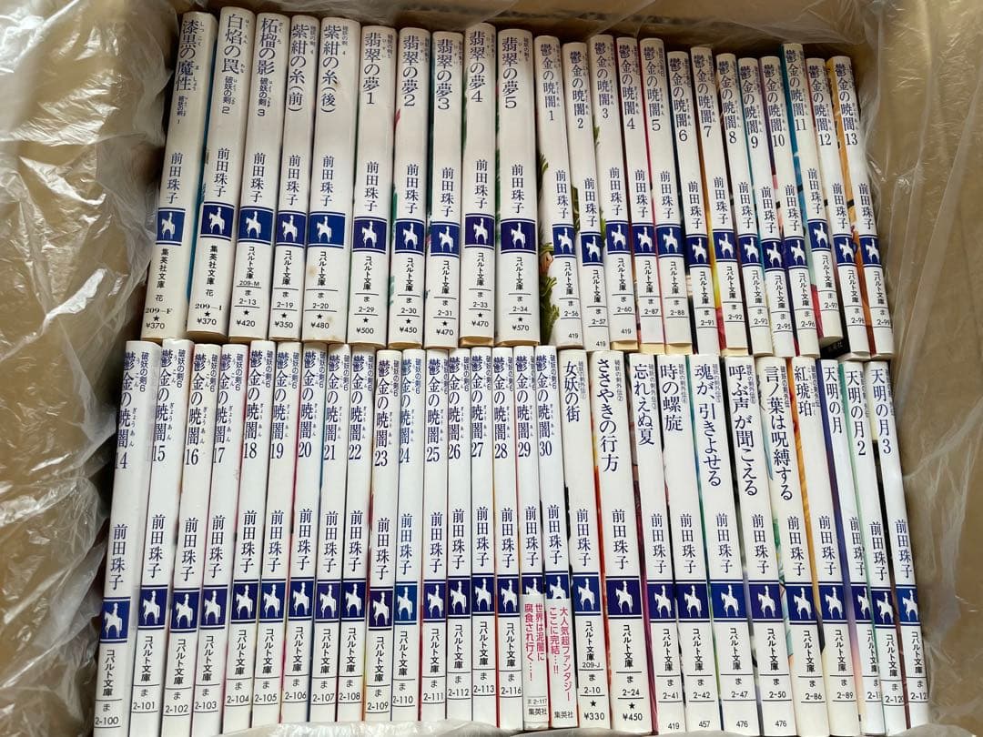 【破妖の剣】全巻セット（外伝含む）　前田珠子