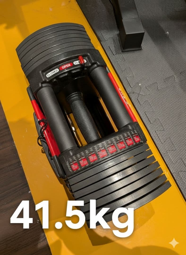 【①購入必須】可変式ダンベル 41.5kg【バーウィング】