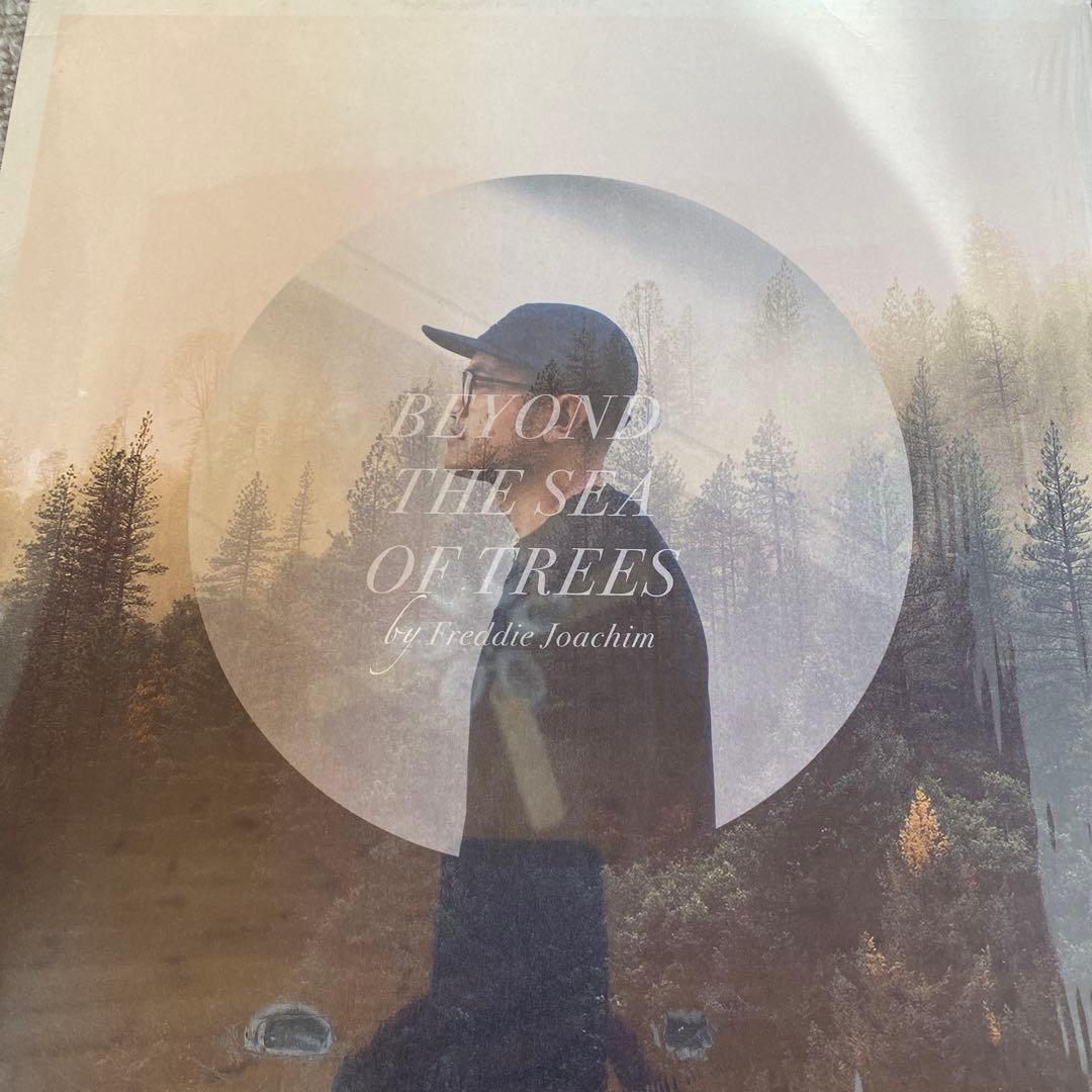 洋楽 Freddie Joachim /Beyond The Sea Of Trees
