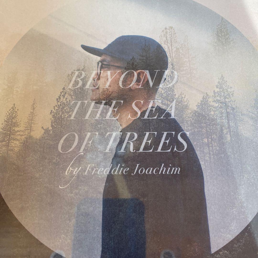 洋楽 Freddie Joachim /Beyond The Sea Of Trees
