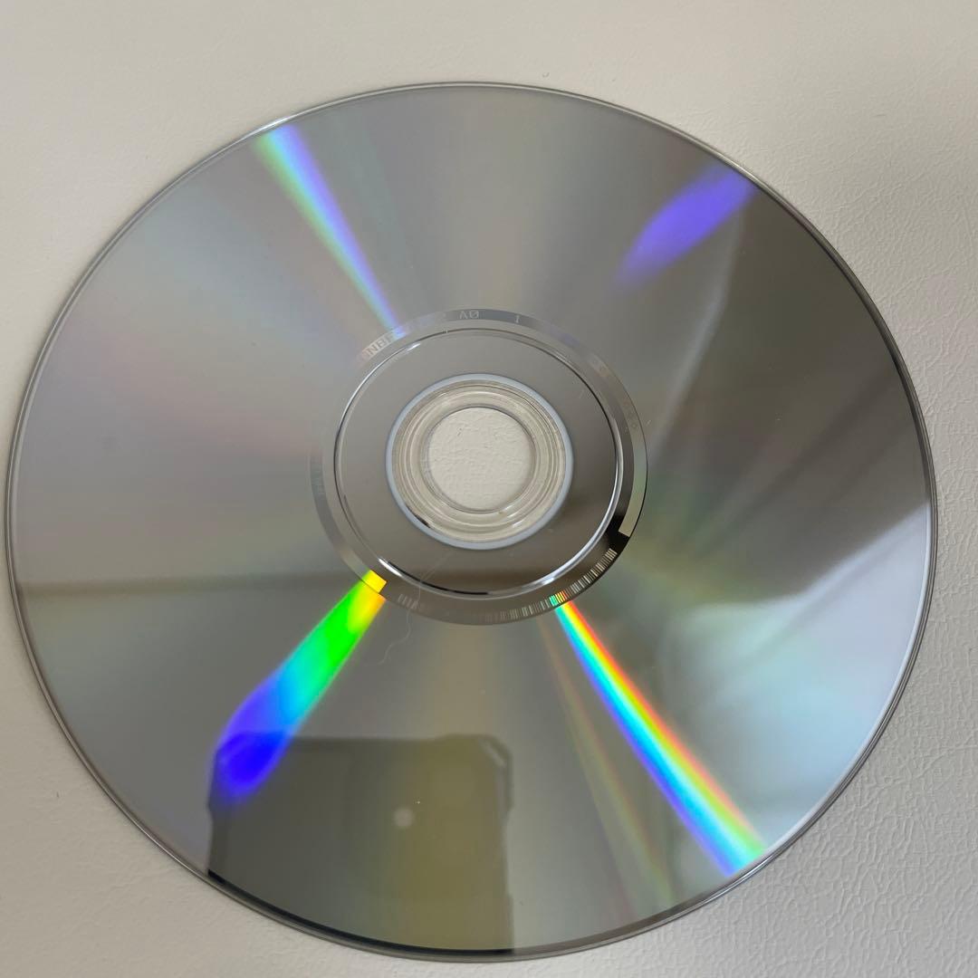 イン・ザ・スープ('92日/米)〈2枚組〉セル版 廃盤。希少。