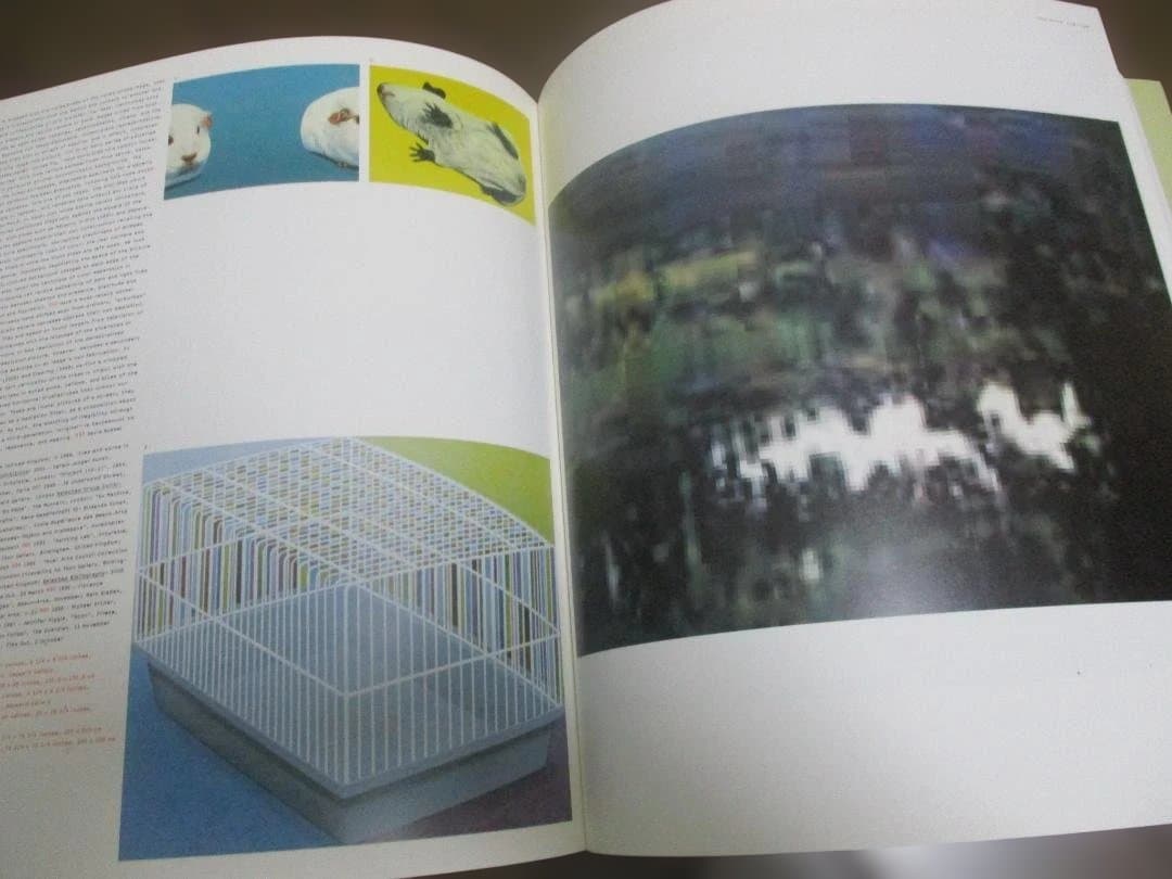 アート・デザイン・音楽 Vitamin P: New Perspectives in Painting