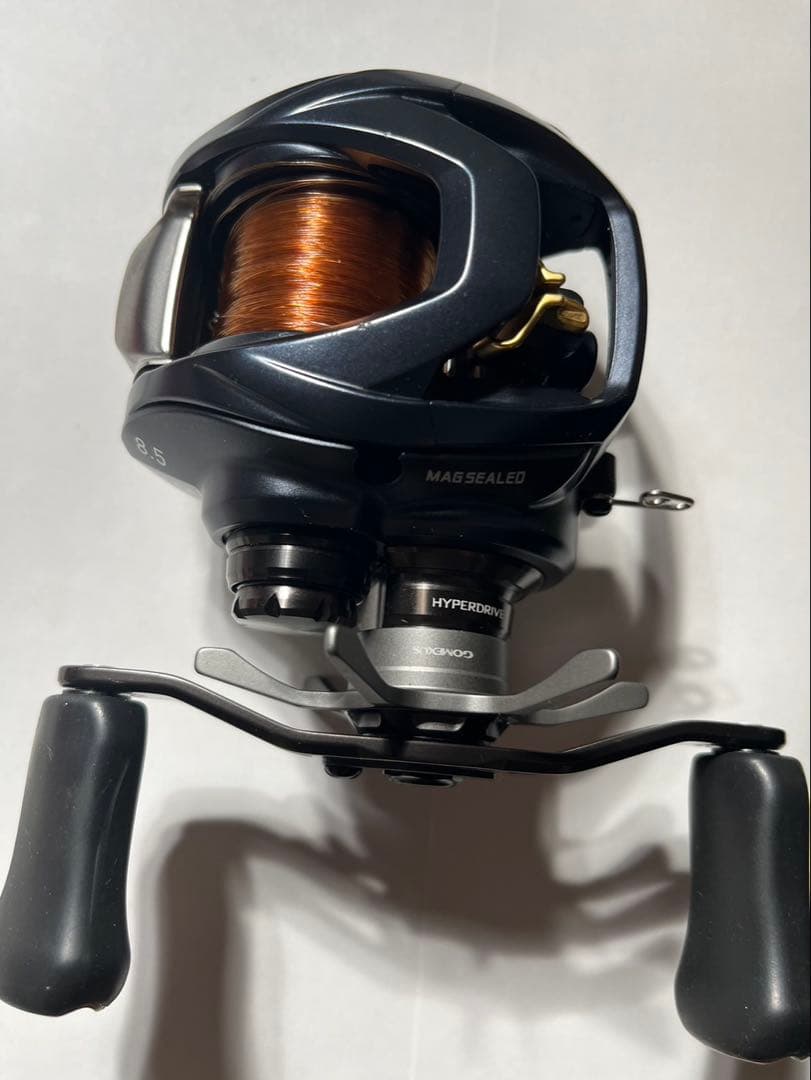 23スティーズAⅡ TW 1000XH