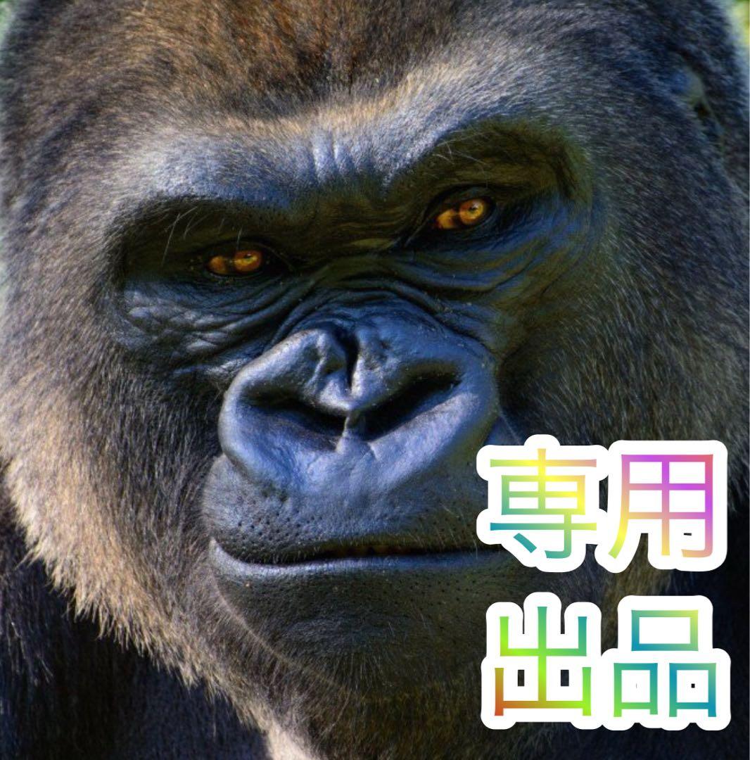 lapoS閃乱カグラ BURST UP L4　不要機ボリューム調整付