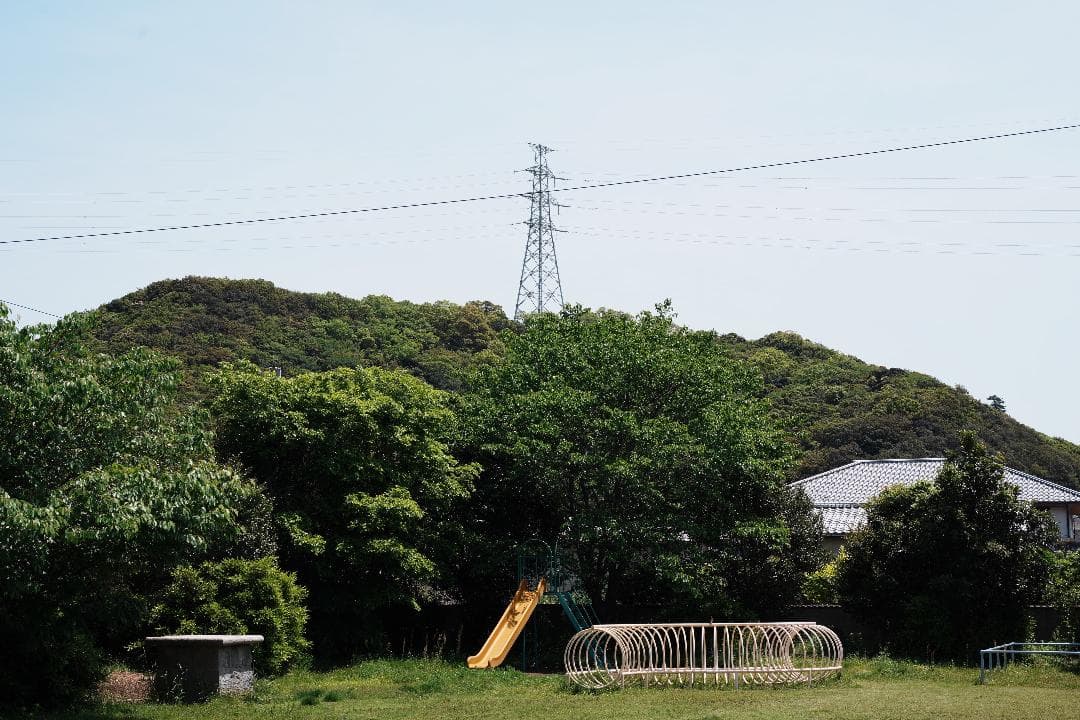 レンズ(単焦点) Nikon Ai-s Micro-Nikkor 55mm F2.8 477