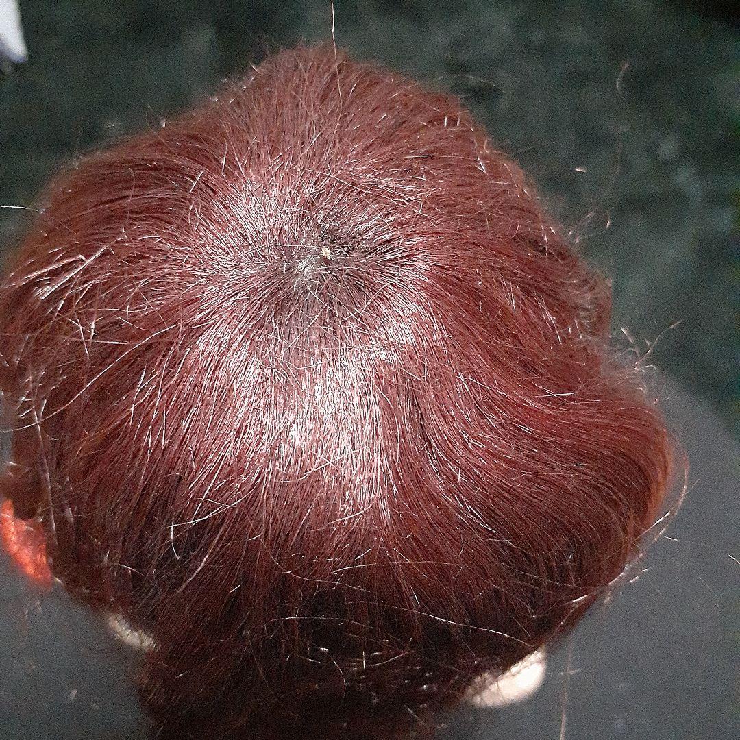 市松人形、和製ビスクドール