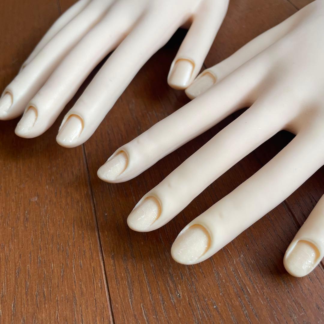 STモデルハンド ネイリスト検定 JNEC認定 モデルハンド 認定チップ付き