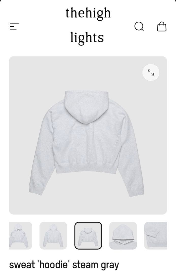 ザハイライツ　フーディ thehighlights sweat hoodie