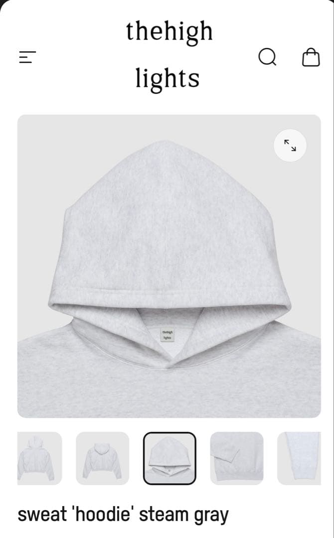 ザハイライツ　フーディ thehighlights sweat hoodie