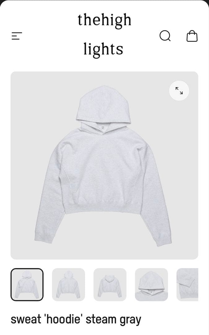 ザハイライツ　フーディ thehighlights sweat hoodie