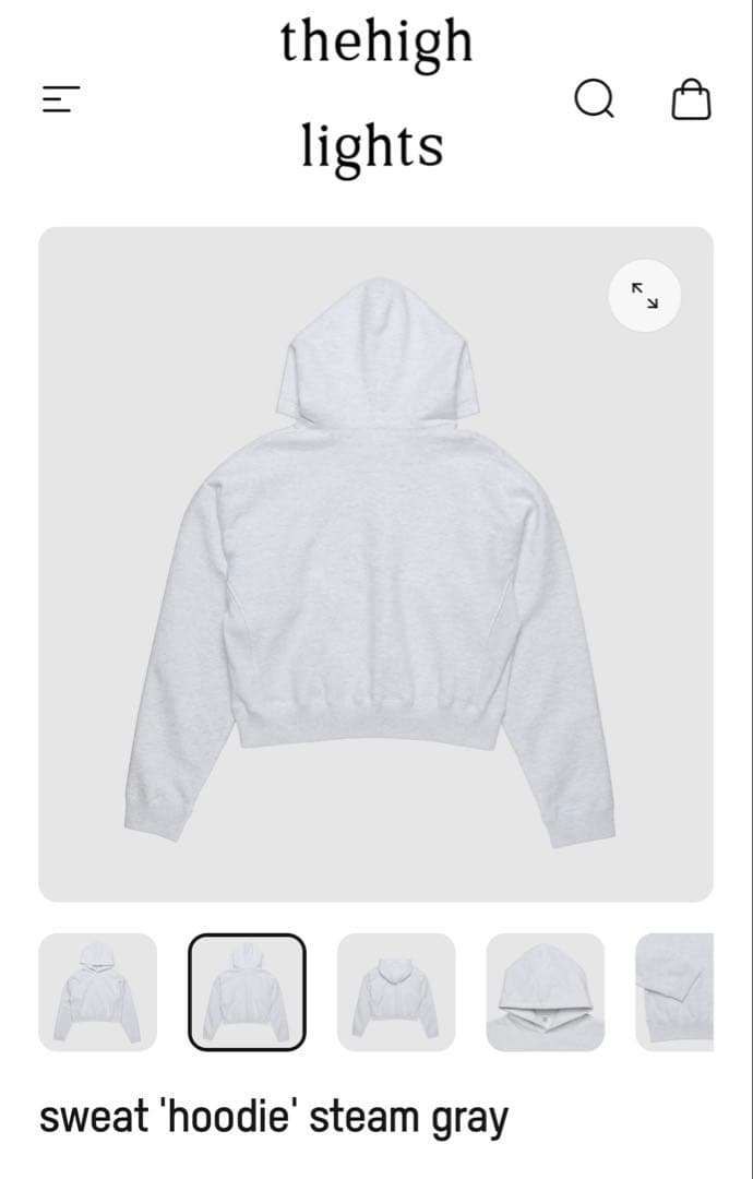 ザハイライツ　フーディ thehighlights sweat hoodie