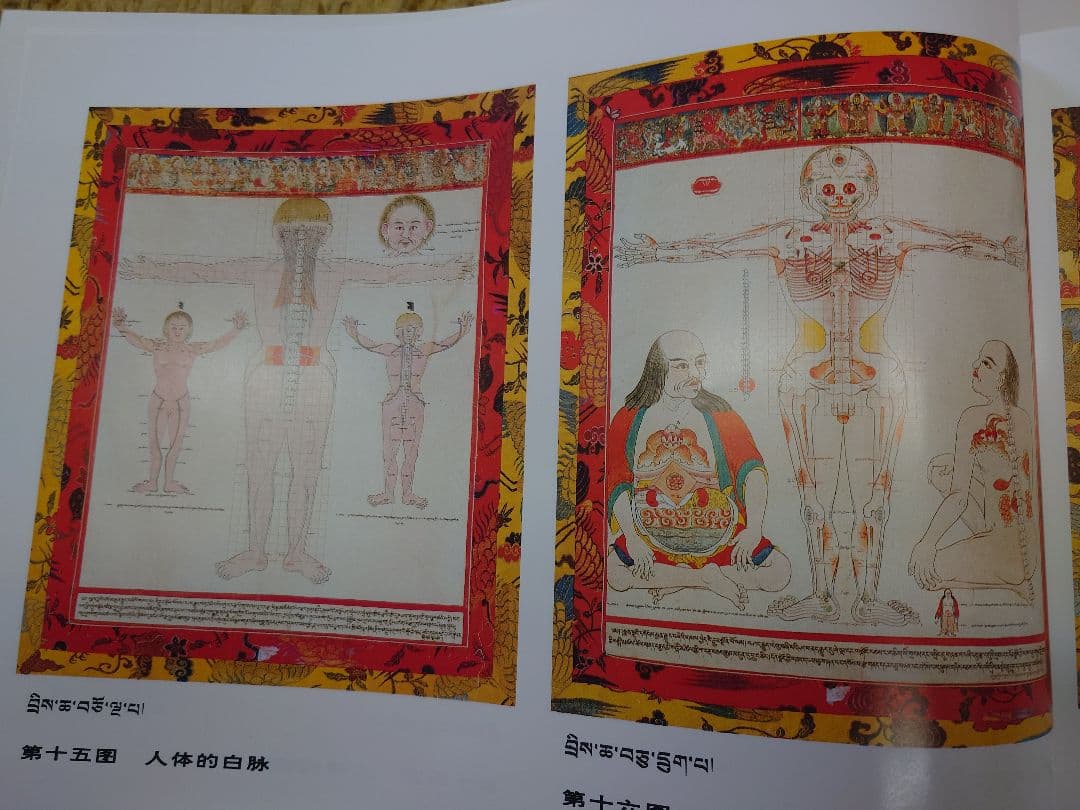 ◆四部医典系列挂図全集◆チベット医学書◆サンスクリット中国