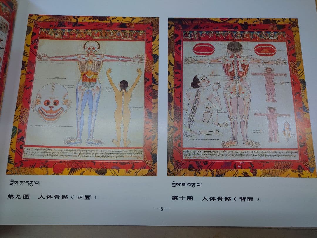 ◆四部医典系列挂図全集◆チベット医学書◆サンスクリット中国