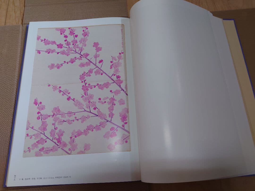 「福田平八郎作品と素描」 光村図書 SC2Y-N