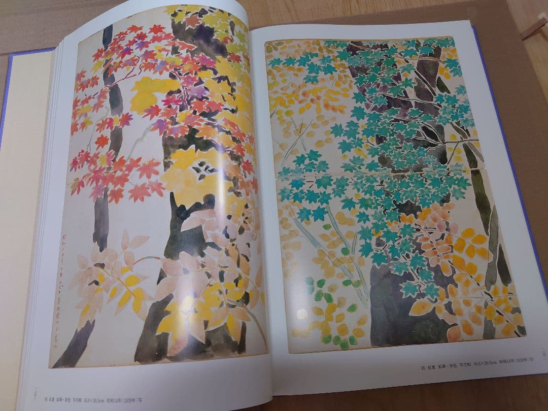 「福田平八郎作品と素描」 光村図書 SC2Y-N