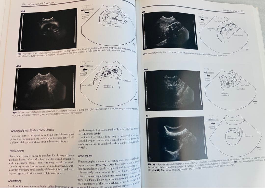 健康・医学 An Atlas and Textbook of Diagnostic