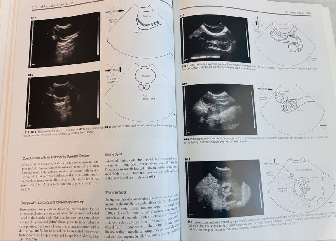健康・医学 An Atlas and Textbook of Diagnostic