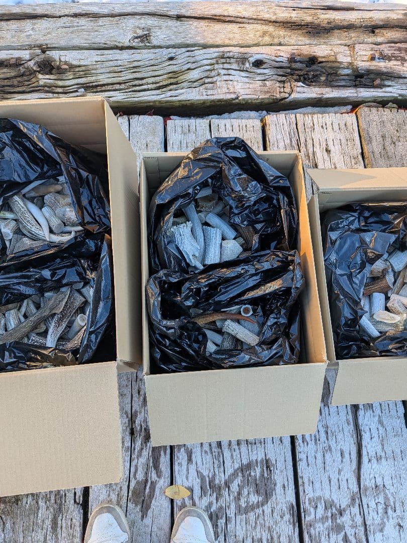 2 Ｓusi【箱びっしり端材詰め合わせ】北海道エゾシカ　鹿の角