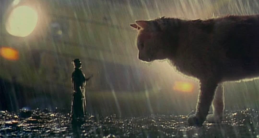 ☘️水の旅人～侍KIDS('93フジテレビジョン/オフィス・トゥー・ワン/東宝)