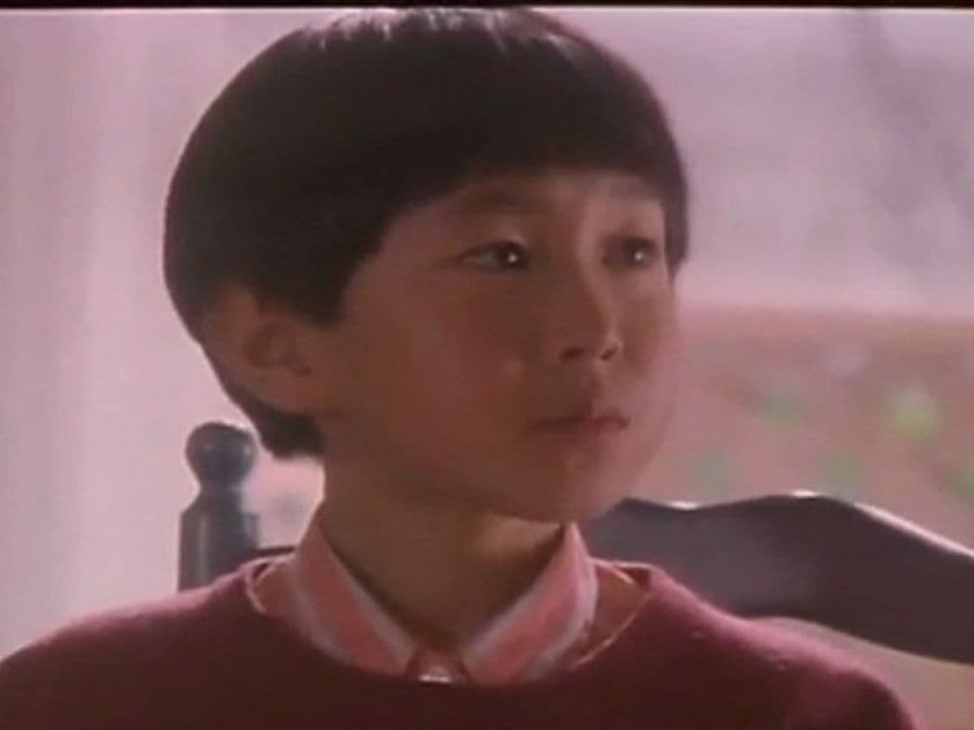 ☘️水の旅人～侍KIDS('93フジテレビジョン/オフィス・トゥー・ワン/東宝)