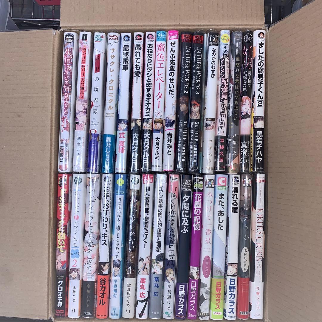 BL漫画　30冊セットF