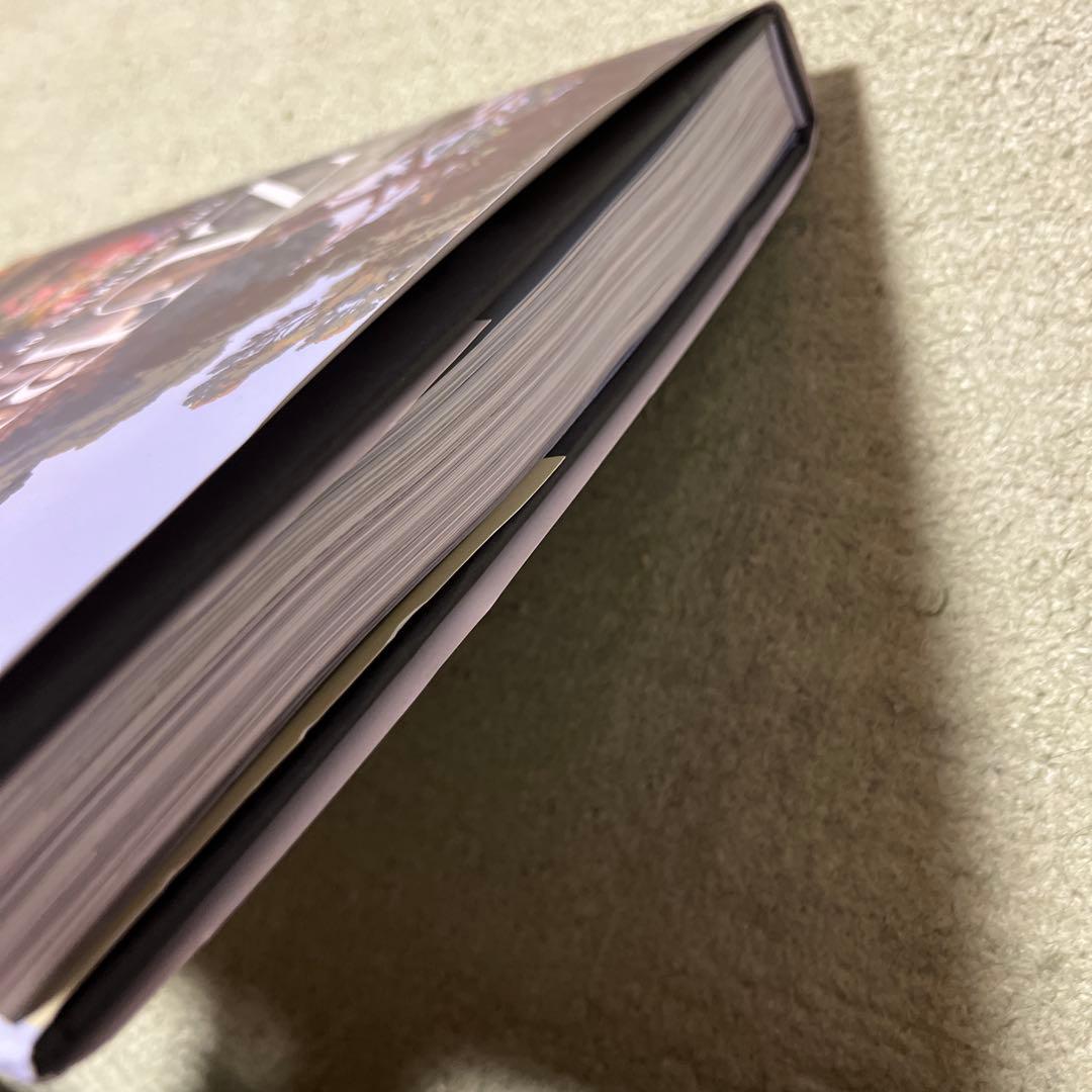 Zuber: Two Centuries of Panoramic⋯